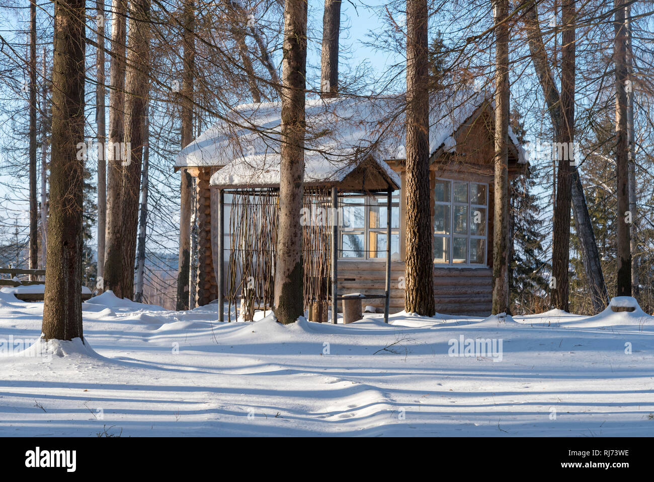 Wooden gazebo in the woods on a Sunny winter day. Pine trees around the ...