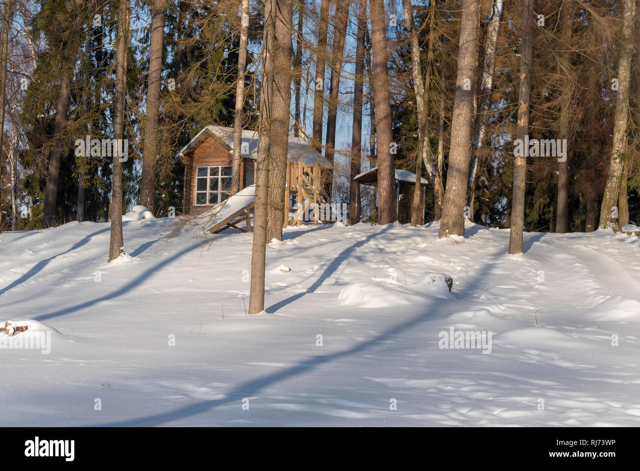 Wooden gazebo in the woods on a Sunny winter day. Pine trees around the ...