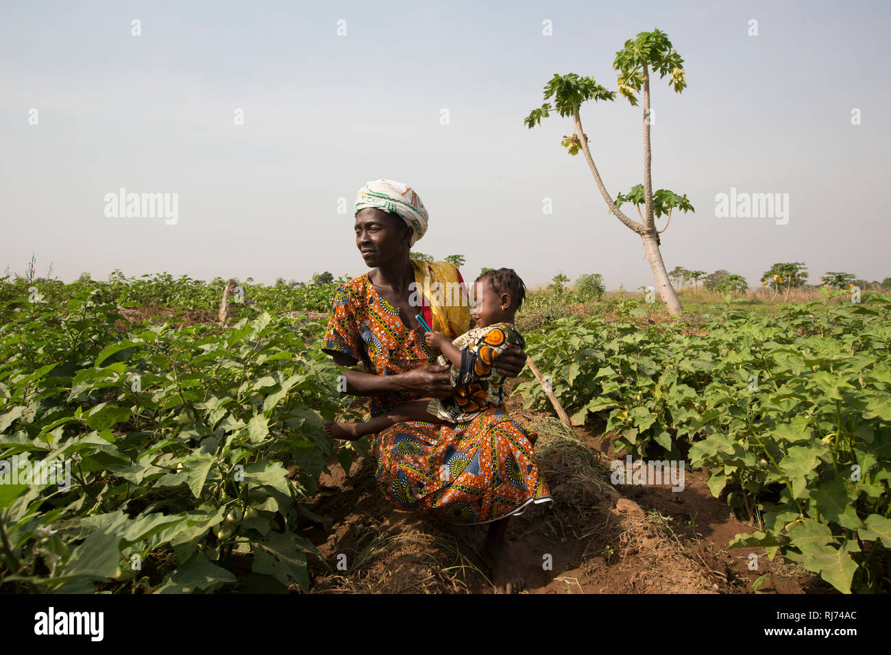 Karfiguela village, Banfora, Cascades Region, Burkina Faso, 6th December 2016; Sanata Kone, benificiary, in her field where she is growing aubergines. Stock Photo