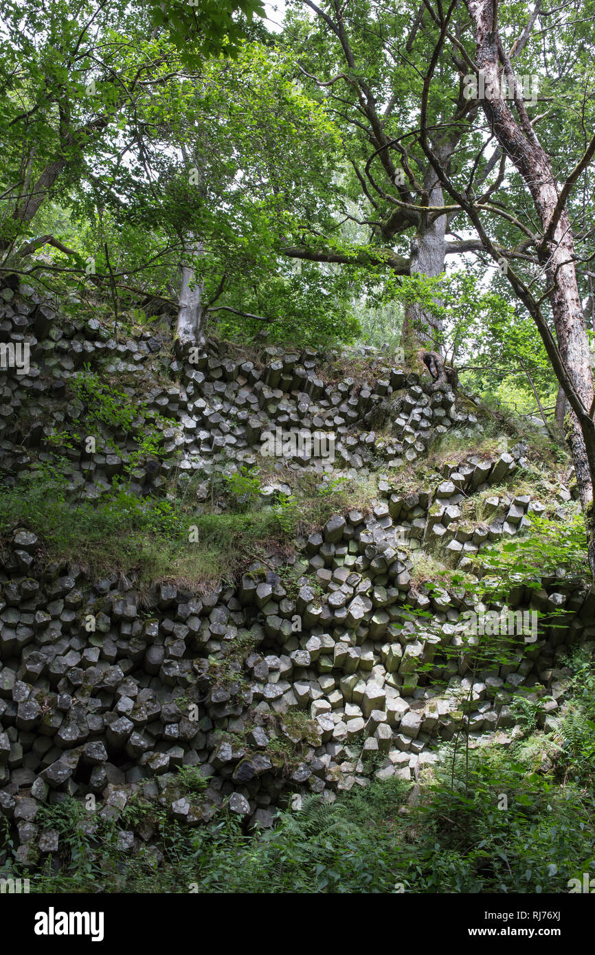 Basaltprismenwand am Gangolfsberg, Naturschutzgebiet Lange Rhön, UNESCO-Biosphärenreservat, Naturpark Bayrische Rhön, Bayern, Deutschland, Stock Photo