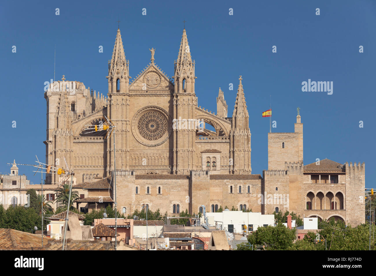 Kathedrale La Seu Palma De Mallorca Mallorca Balearen Spanien Stock Photo Alamy
