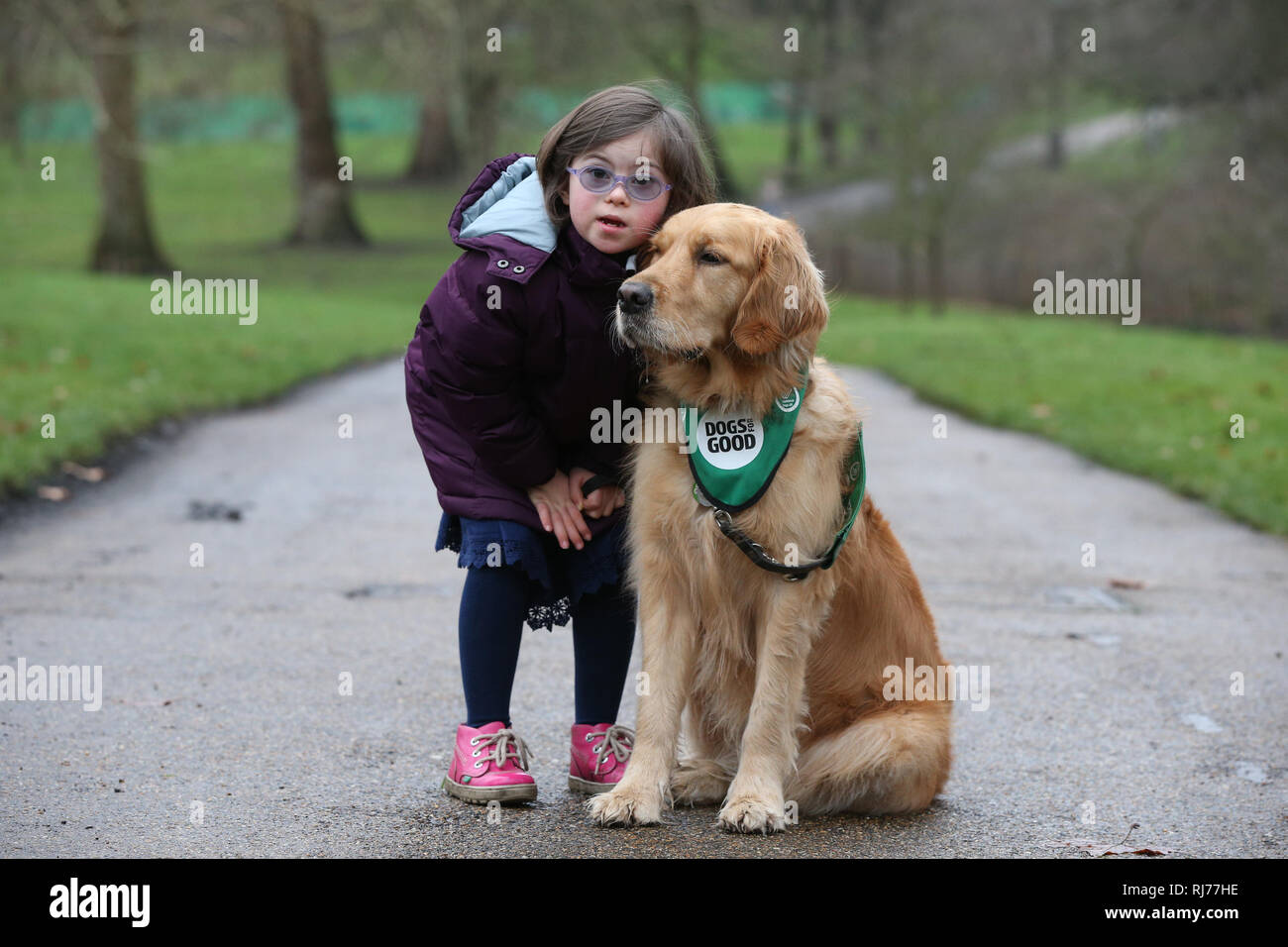 This years crufts hi res stock photography and images Page 2 Alamy