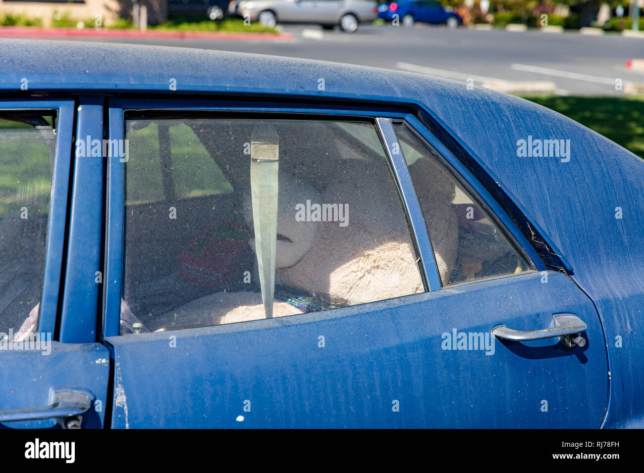 Large teddy bear on the back seat of a dirty car Stock Photo