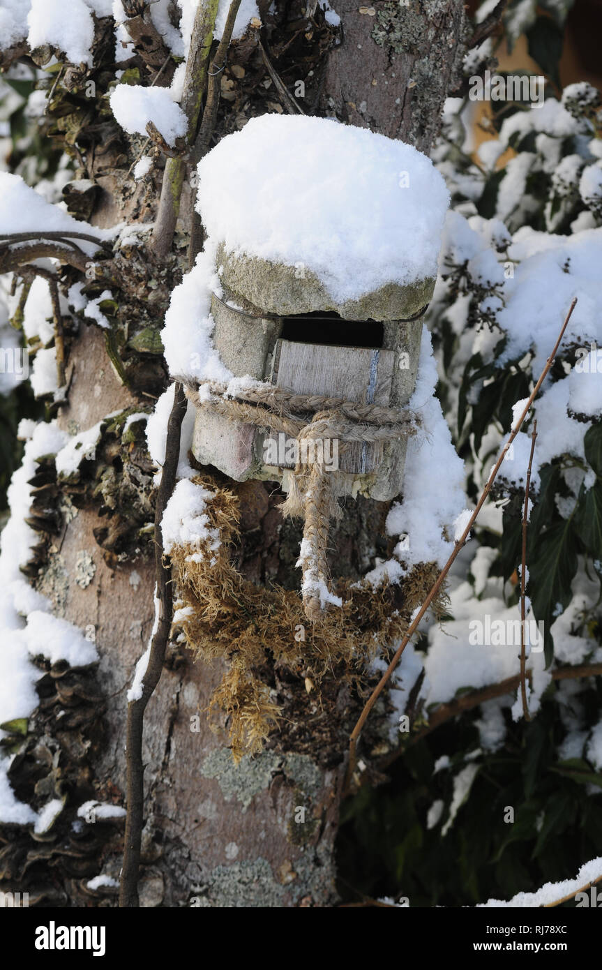 Vogelhäuschen mit Schneehaube Stock Photo