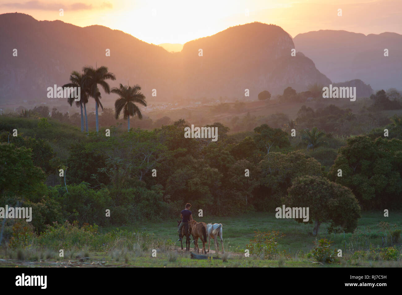 Karibik, Kuba, Cuba, Viñales, Ausritt mit Pferden bei Abendlicht im Valle de Viñales Stock Photo