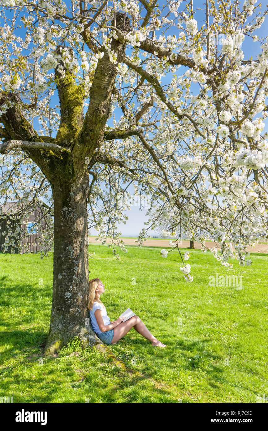 Junge, blonde Frau sitzt unten einem blühendem Baum und liest ein Buch Stock Photo