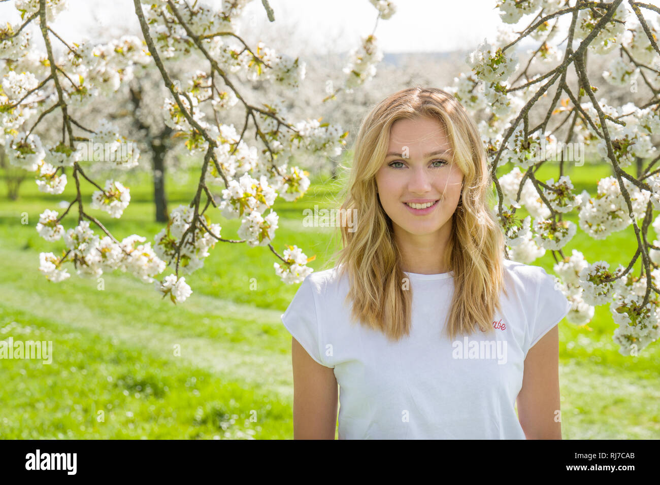 junge Frau, Blick in die Kamera, Blühende Bäume, Stock Photo