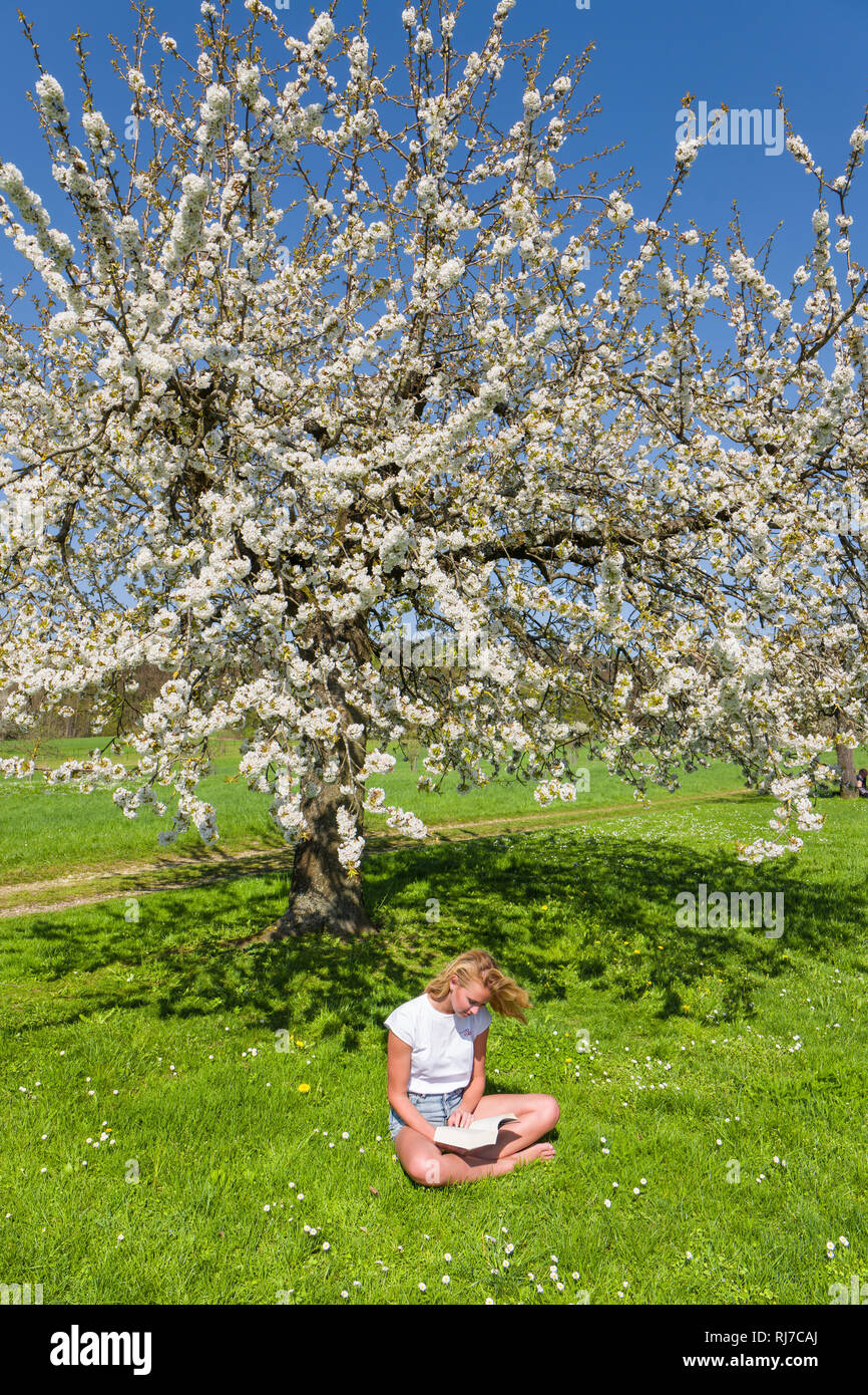 junge Frau liest ein Buch, Blühende Bäume, Frühling, Stock Photo