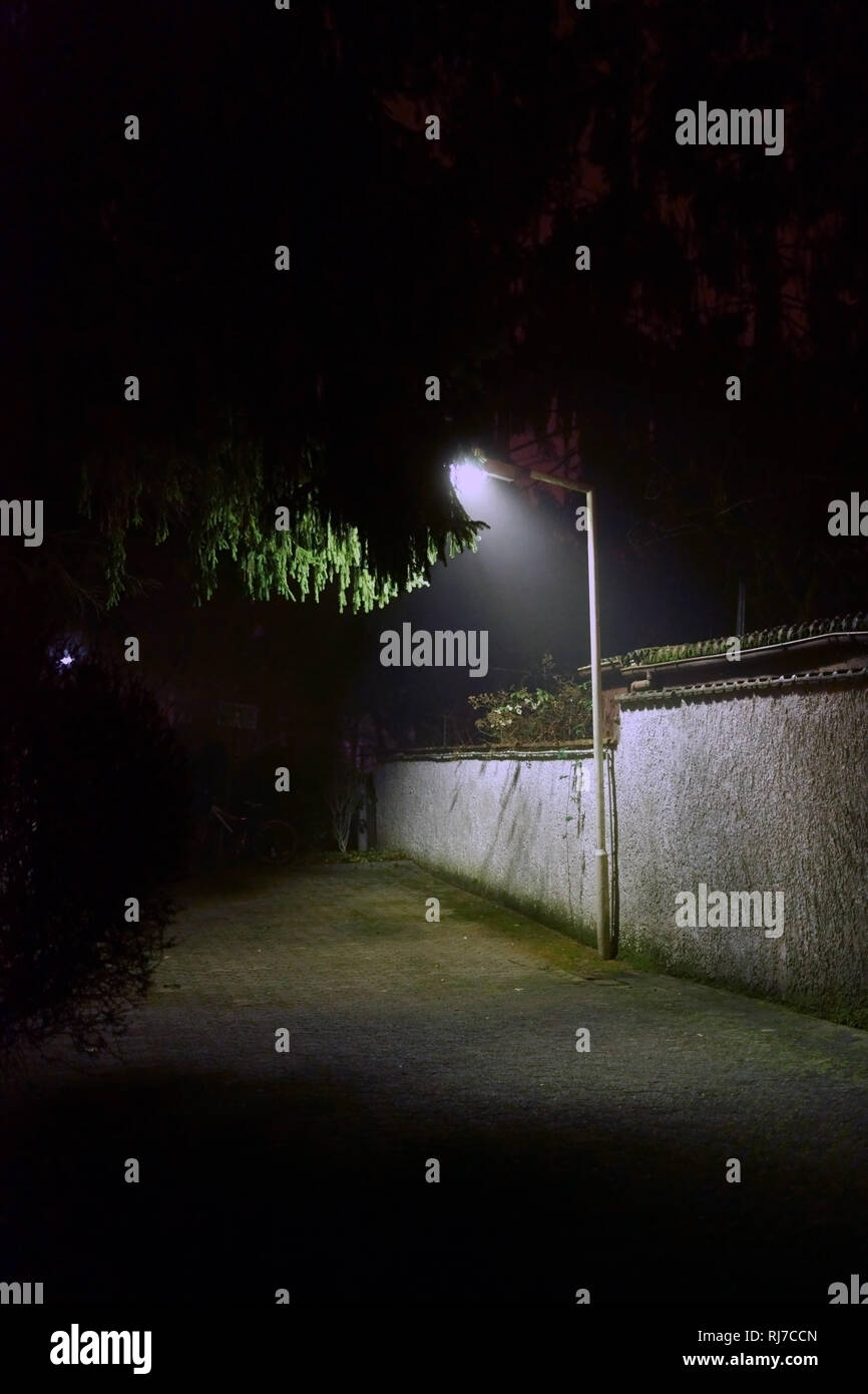 Eine Strassenlaterne Beleuchtet In Der Nacht Einen Gehweg Sowie Baumkronen Stock Photo Alamy
