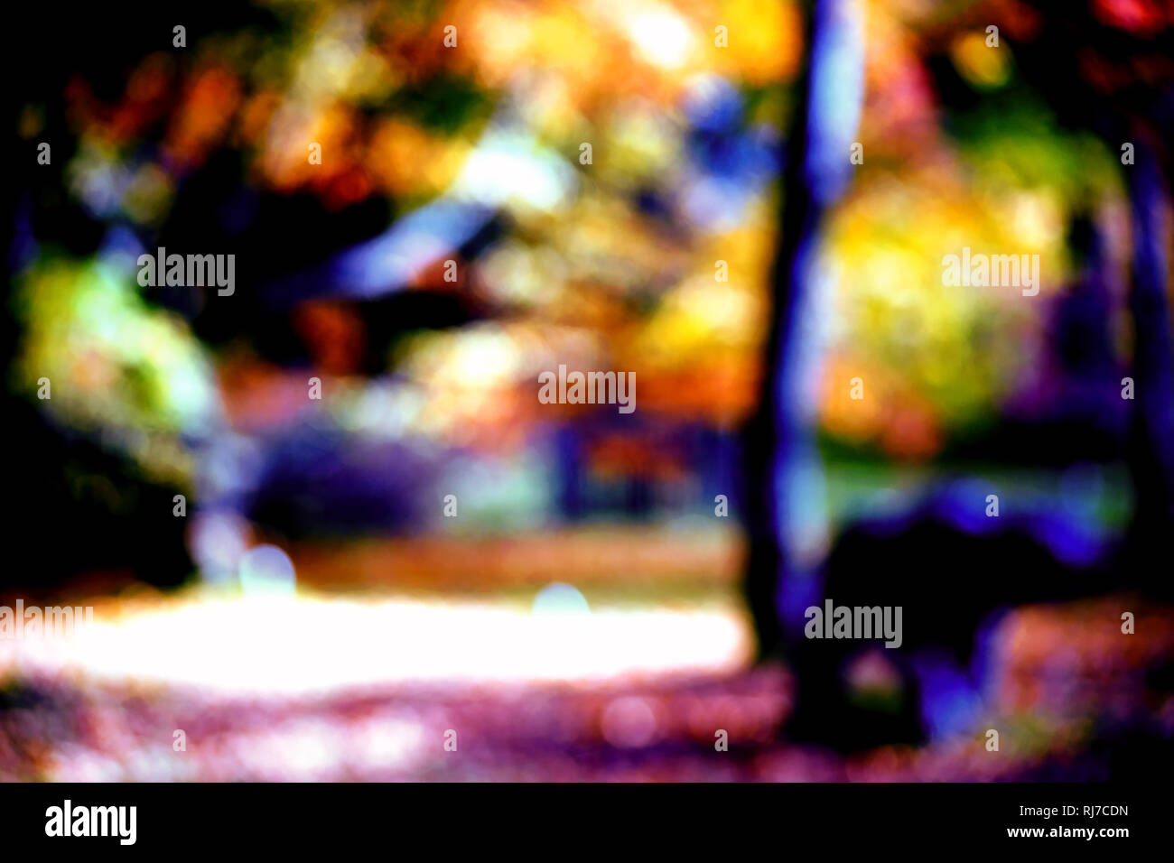 Die abstrakten und unscharfen Silhouetten und Umrisse einer bunten Parklandschaft im Herbst. Stock Photo