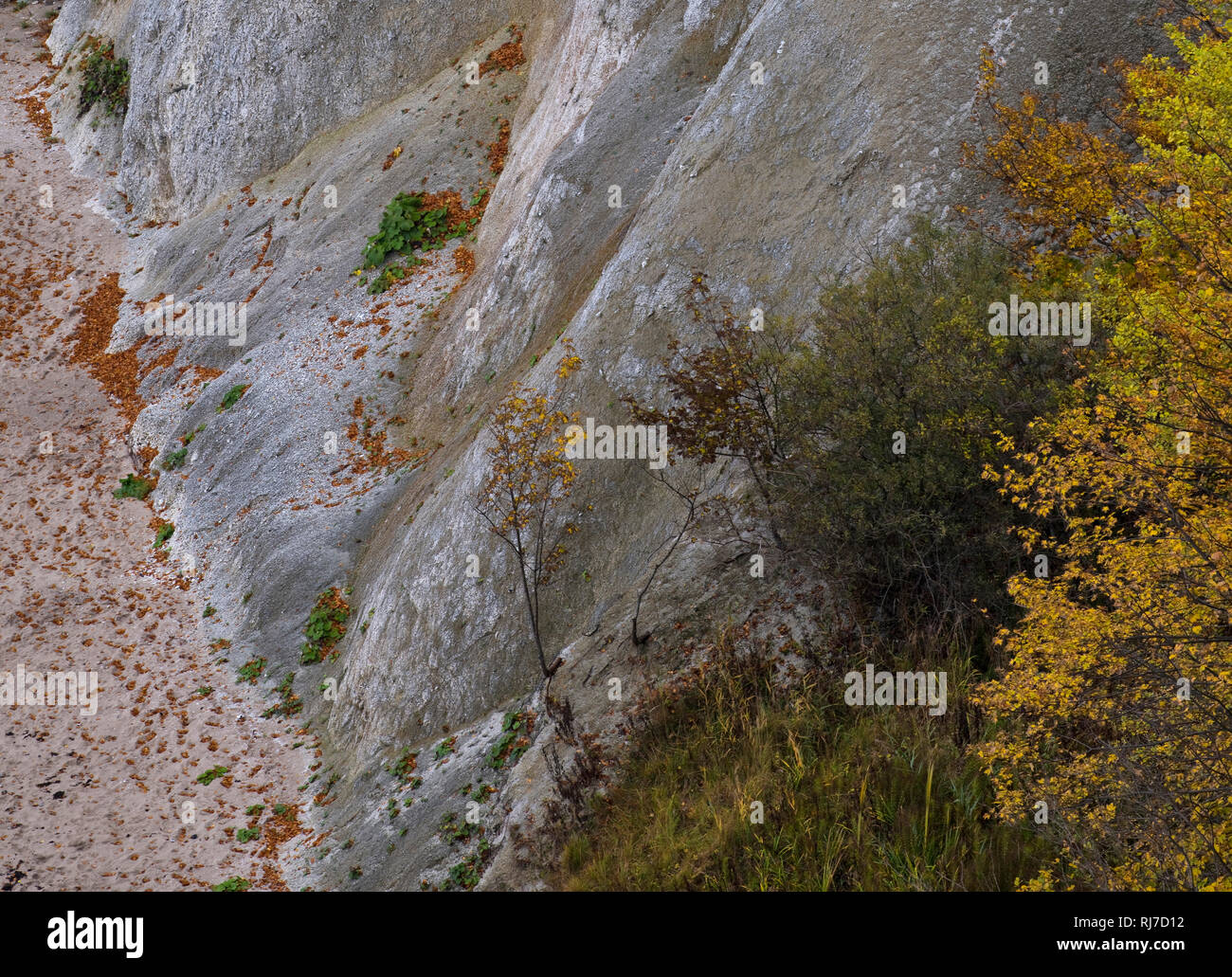 Europa, Deutschland, Mecklenburg-Vorpommern, Insel Rügen, Nationalpark Jasmund, UNESCO-Weltnaturerbe Europäische Buchenwälder, Blick von oben auf Stei Stock Photo