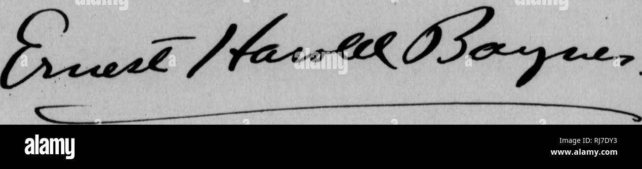 . C. Hart Merriam papers : including correspondence, papers relating to career with the United States Biological Survey, 1798-1972 (bulk 1871-1942). United States. Division of Ornithology and Mammalogy; United States. Division of Biological Survey; United States. Biological Survey; United States. Bureau of Biological Survey; Geological and Geographical Survey of the Territories (U. S. ); Harriman Alaska Expedition (1899); Bering Sea controversy; Bears; Biogeography; Natural history; Ornithology; Botany; Life zones; Wildlife conservation. SECRETARY BOSS EUZABETH F. BENNETT MERIDEN, NEW HAMPSHIR Stock Photo