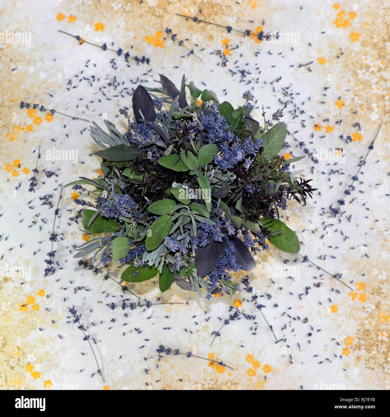 Lavendelstrauß auf geblümter Tischwäsche Stock Photo