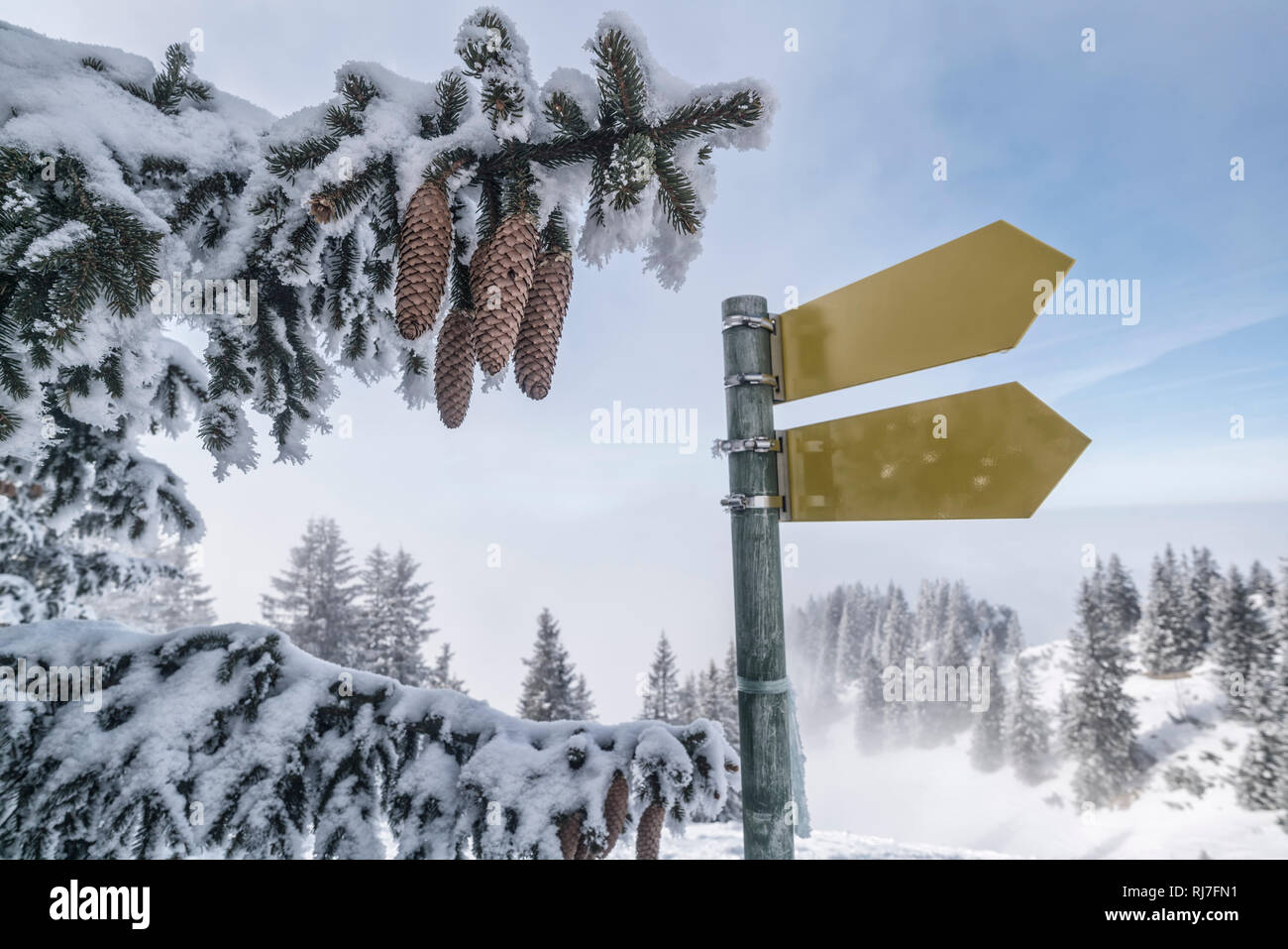 Berglandschaft und Wegweiser im Winter am Tegelberg in Süddeutschland, Stock Photo