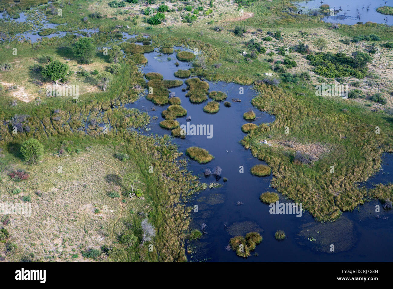 Blick auf das Okavango Delta aus dem Flugzeug Stock Photo