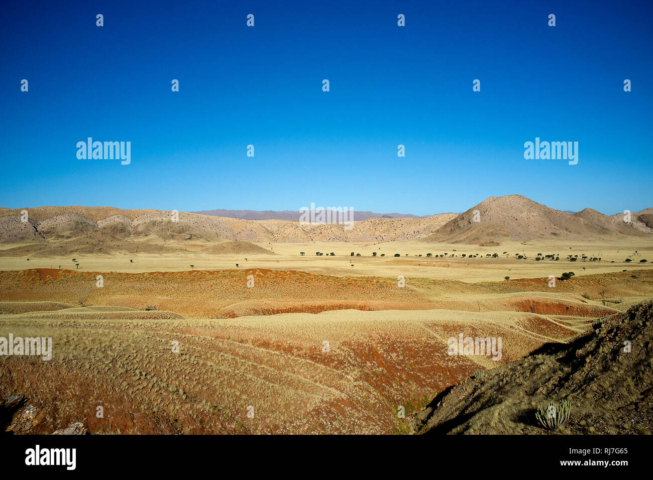 Blick über die roten Dünen im Tsondab Valley Stock Photo