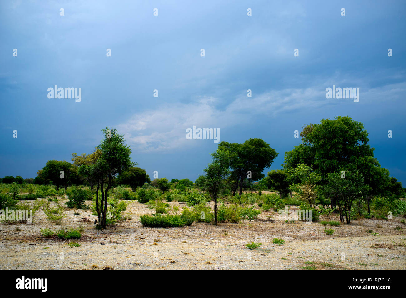 Landschaft bei Tsumkwe, Gewitterstimmung Stock Photo