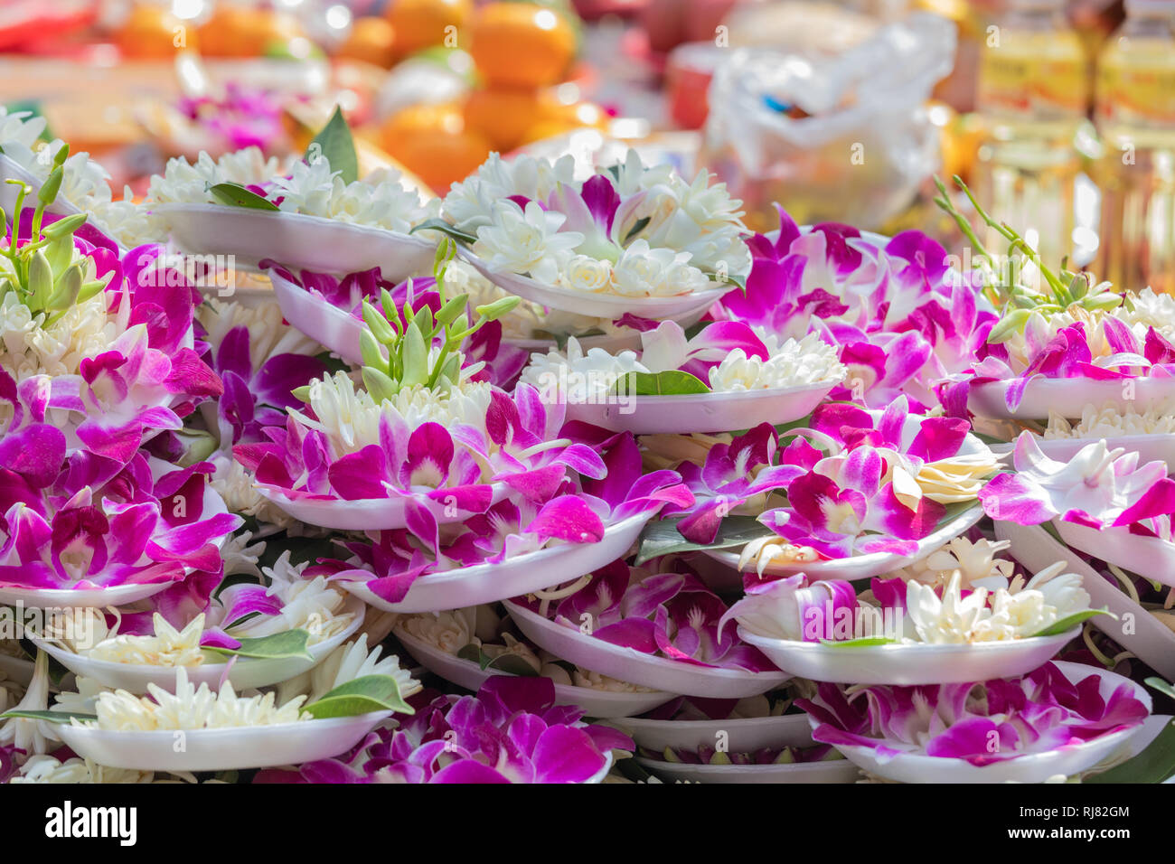 First new flowers of the year hires stock photography and images Alamy