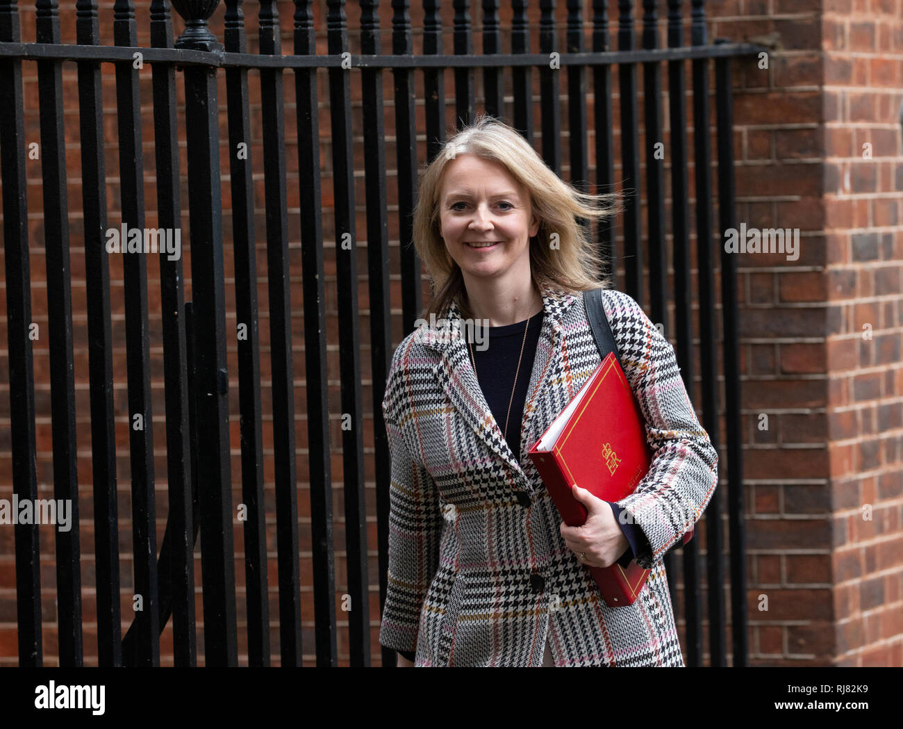London, UK. 05th Feb, 2019. Liz Truss, Chief Secretary to the Treasury, leaves the Cabinet Meeting. Credit: Tommy London/Alamy Live News Stock Photo
