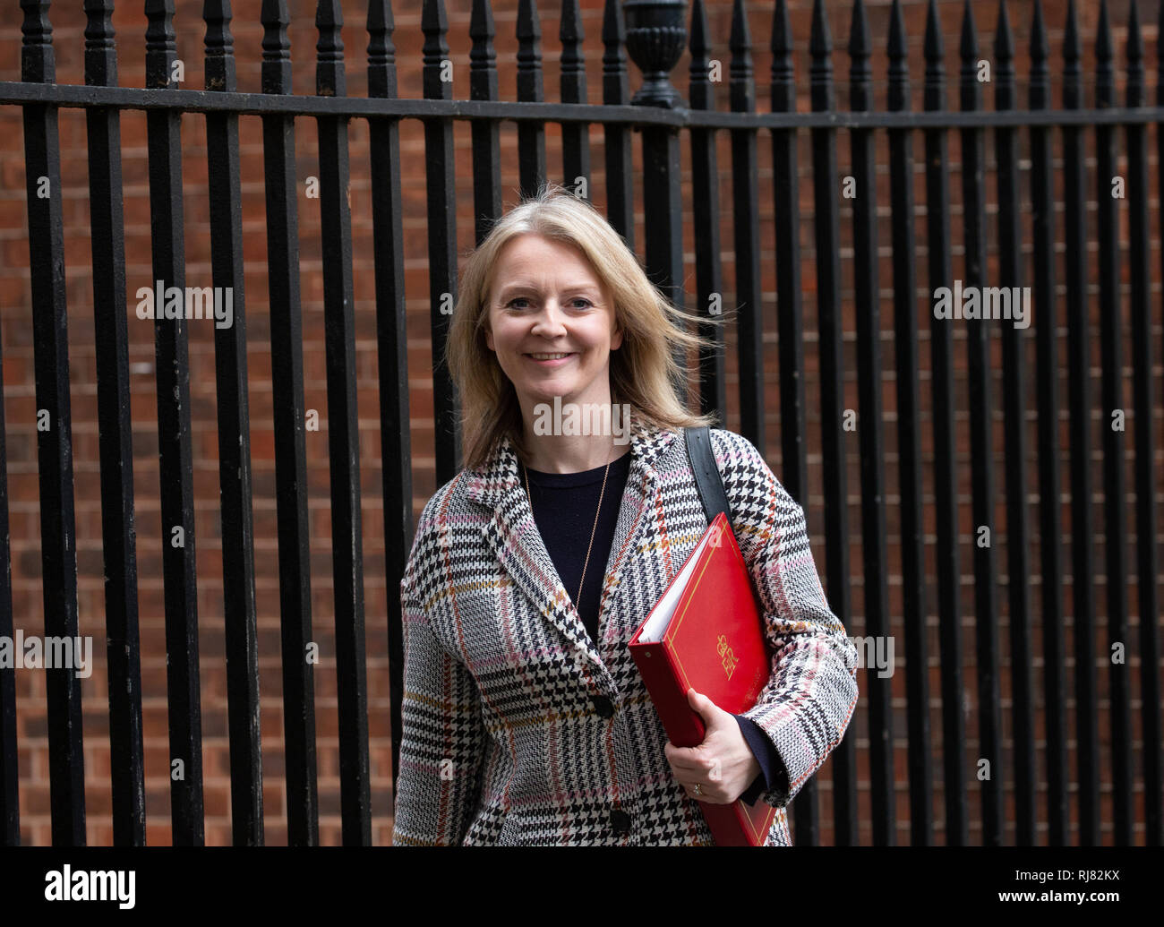 London, UK. 05th Feb, 2019. Liz Truss, Chief Secretary to the Treasury, leaves the Cabinet Meeting. Credit: Tommy London/Alamy Live News Stock Photo