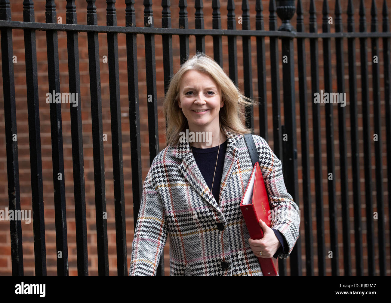 London, UK. 05th Feb, 2019. Liz Truss, Chief Secretary to the Treasury, leaves the Cabinet Meeting. Credit: Tommy London/Alamy Live News Stock Photo