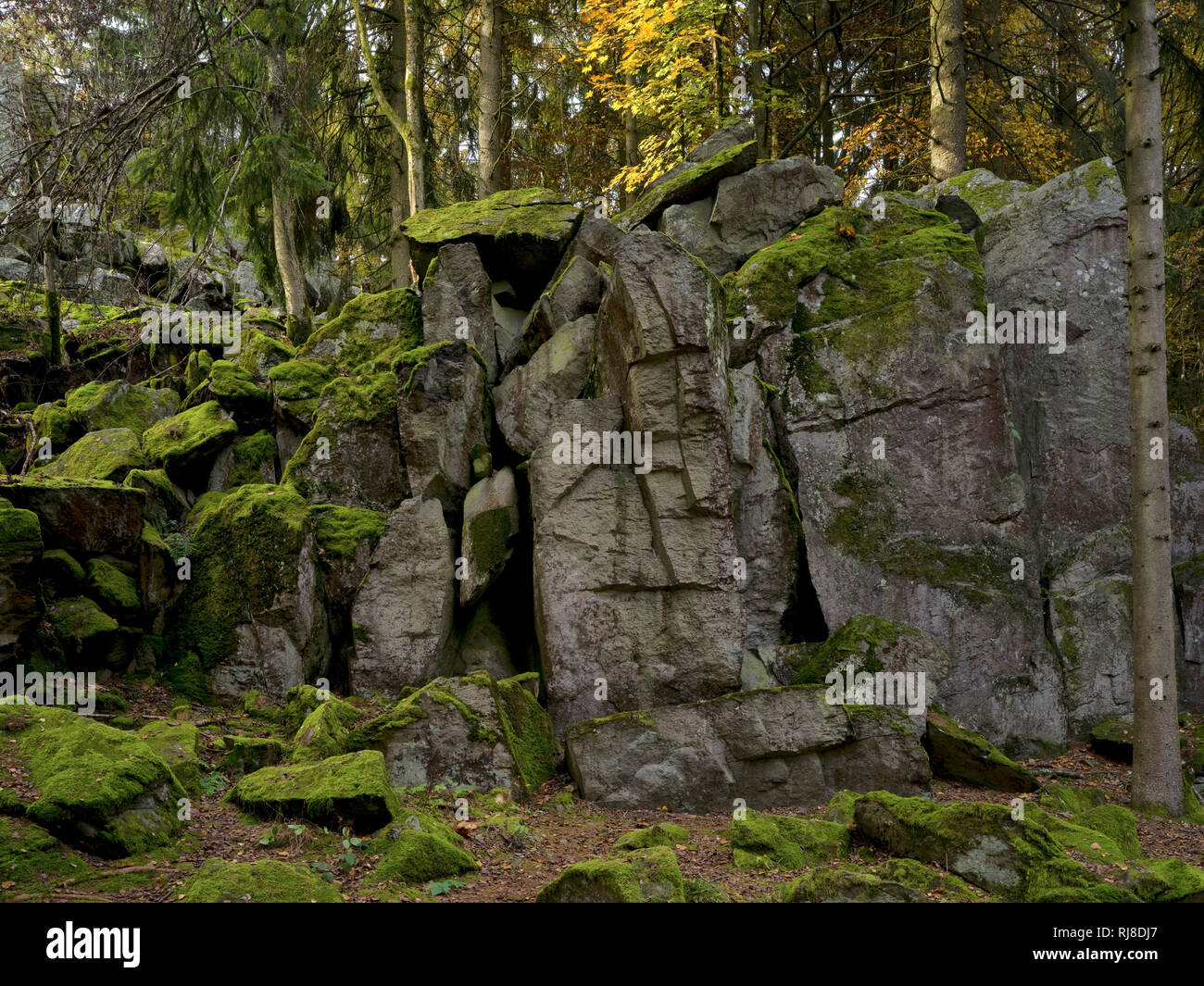 Deutschland, Hessen, Naturpark Hessische Rhön, UNESCO-Biosphärenreservat, die Steinwand bei Poppenhausen, Herbst Stock Photo