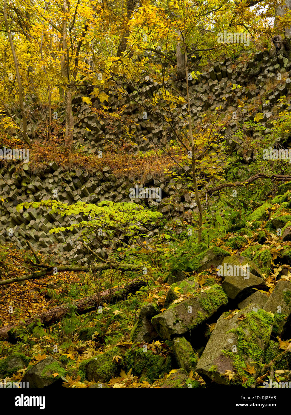 Deutschland, Bayern, Naturpark Bayrische Rhön, UNESCO-Biosphärenreservat, Basaltprismenwand am Gangolfsberg, Naturschutzgebiet Lange Rhön Stock Photo