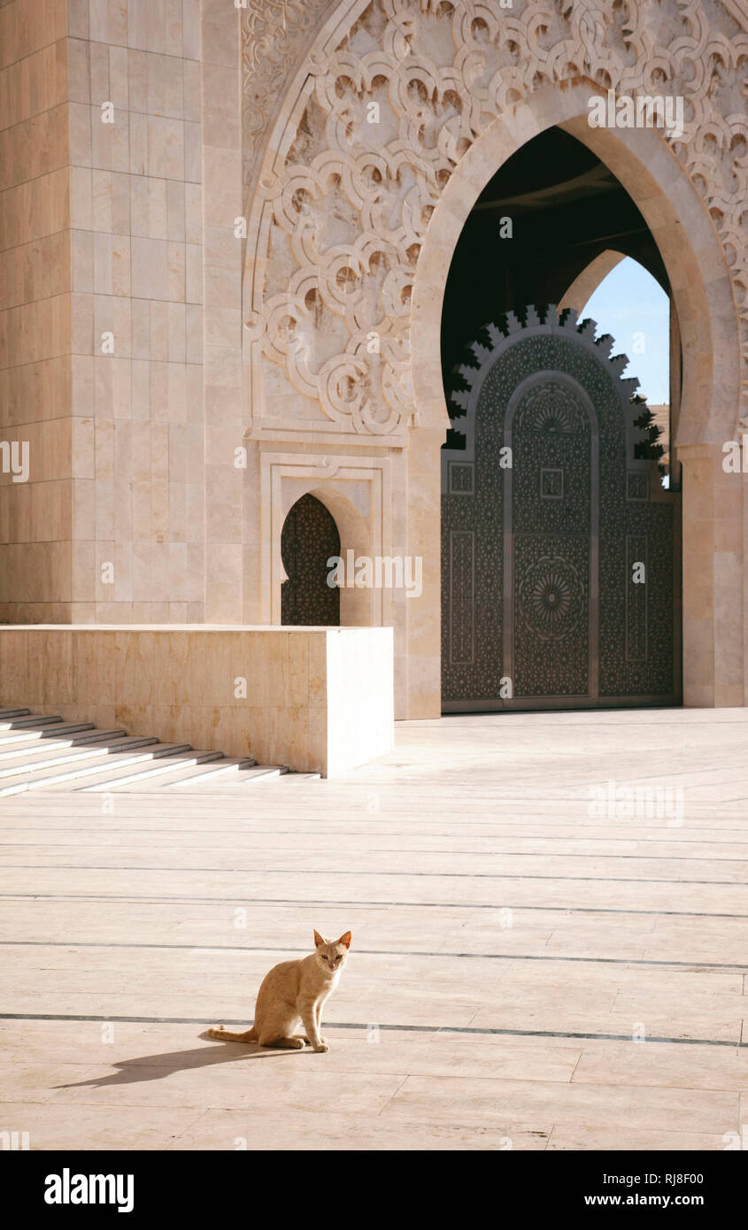 Casablanca, Hassan-II.-Moschee, Architektur, Marokko Stock Photo