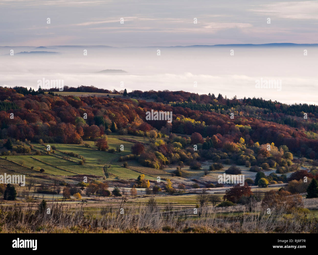 Deutschland, Bayern, Naturpark Bayrische Rhön, UNESCO-Biosphärenreservat, Naturschutzgebiet Lange Rhön, Herbst auf der Hohen Rhön, Blick zur Thüringis Stock Photo