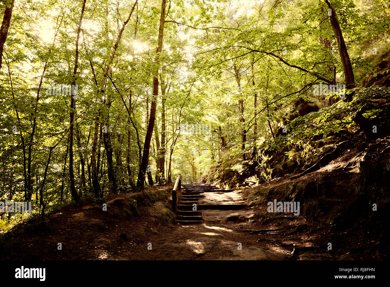 Hügeliger Wanderweg im Frühling Stock Photo