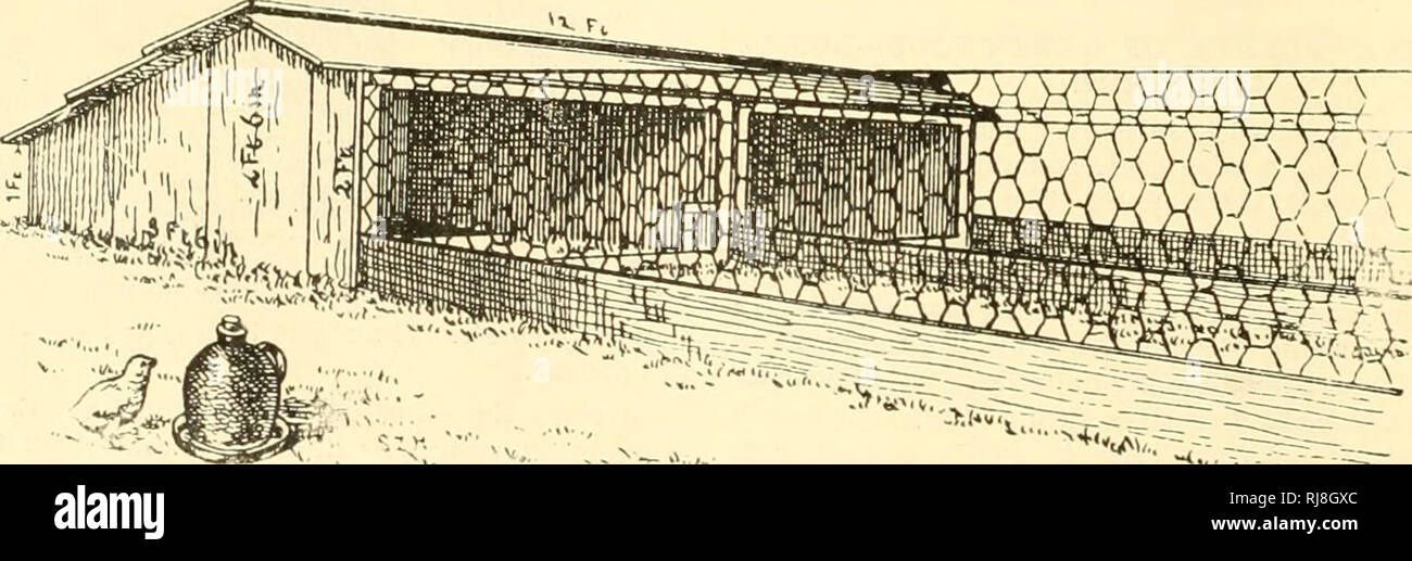 The Chick Book Poultry Fig 8 9lialf Way Coops To Use Between