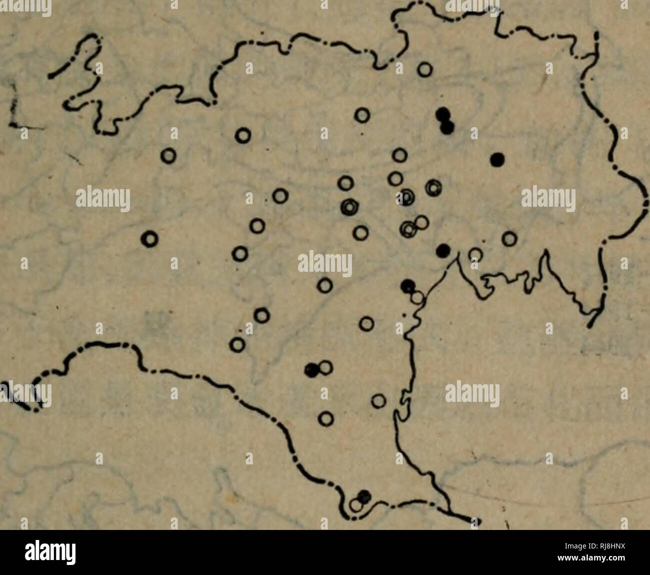 E Japonicus High Resolution Stock Photography And Images Alamy