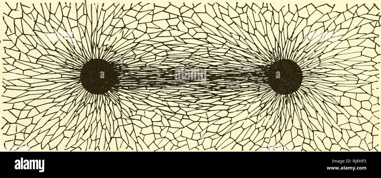 Dehydrating agents hires stock photography and images Alamy