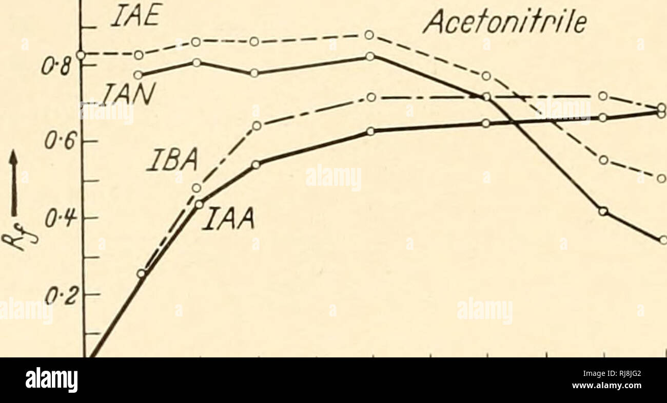 . The chemistry and mode of action of plant growth substances; proceedings of a symposium held at Wye College, University of London, July 1955. Plant regulators; Auxin; Growth (Plants). Natural auxins to neutral auxins, that ammonia, under certain circumstances, leads to the hydrolysis of lAE (Table 3). Such an hydrolysis was not apparent (using only a colorimetric detecdon of auxins) with the ?yopropanol solvent. However, lOr Acefonifnile. â j/E' zoPropano/. Please note that these images are extracted from scanned page images that may have been digitally enhanced for readability - colorati Stock Photo