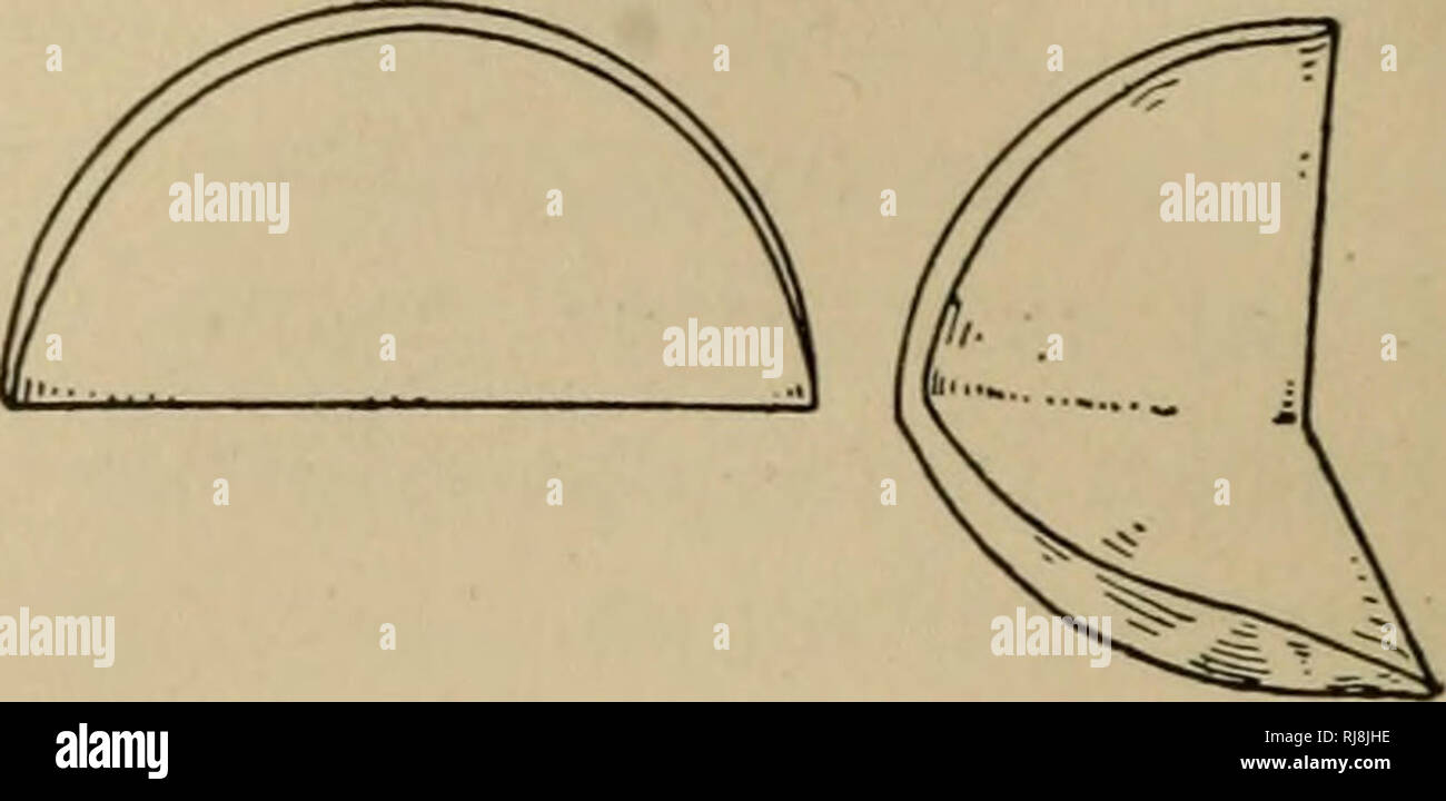 How To Fold Filter Paper