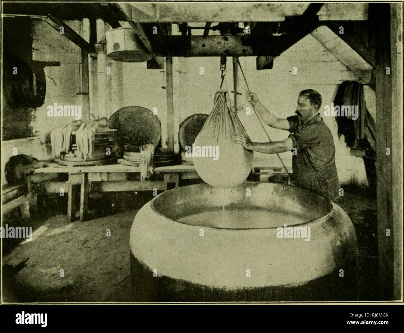Cheese A Short Treatise On The Manufacture Of Various Kinds Of
