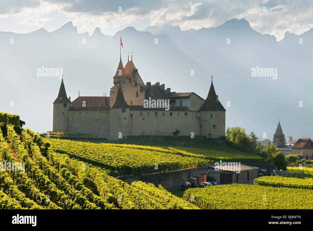 Château d’Aigle, Aigle, Waadt, Schweiz Stock Photo