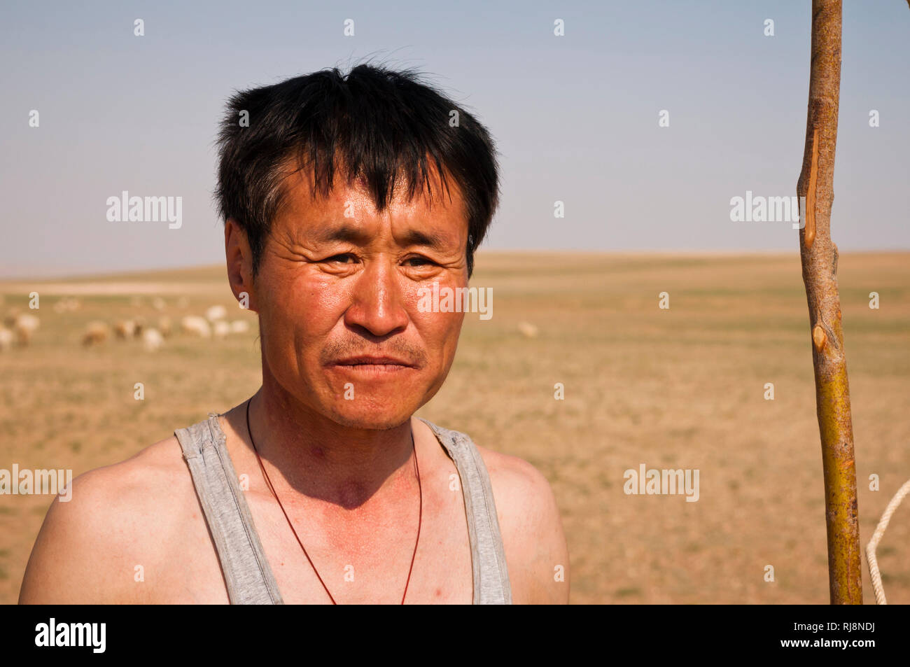 das Grasland bei Xilinhot, Mongole beim Schafe hüten Stock Photo