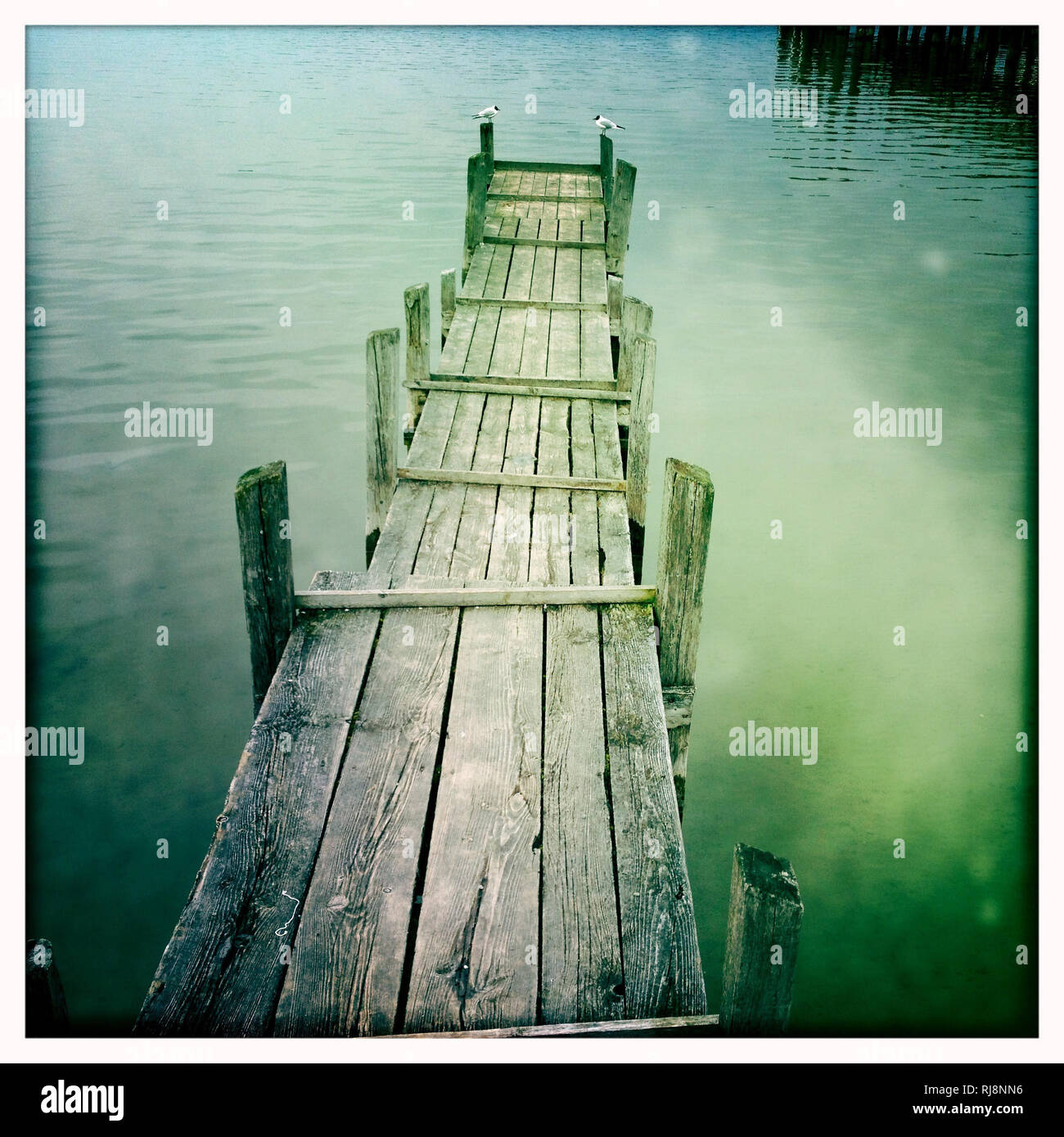 Holzsteg im Wasser, Stock Photo