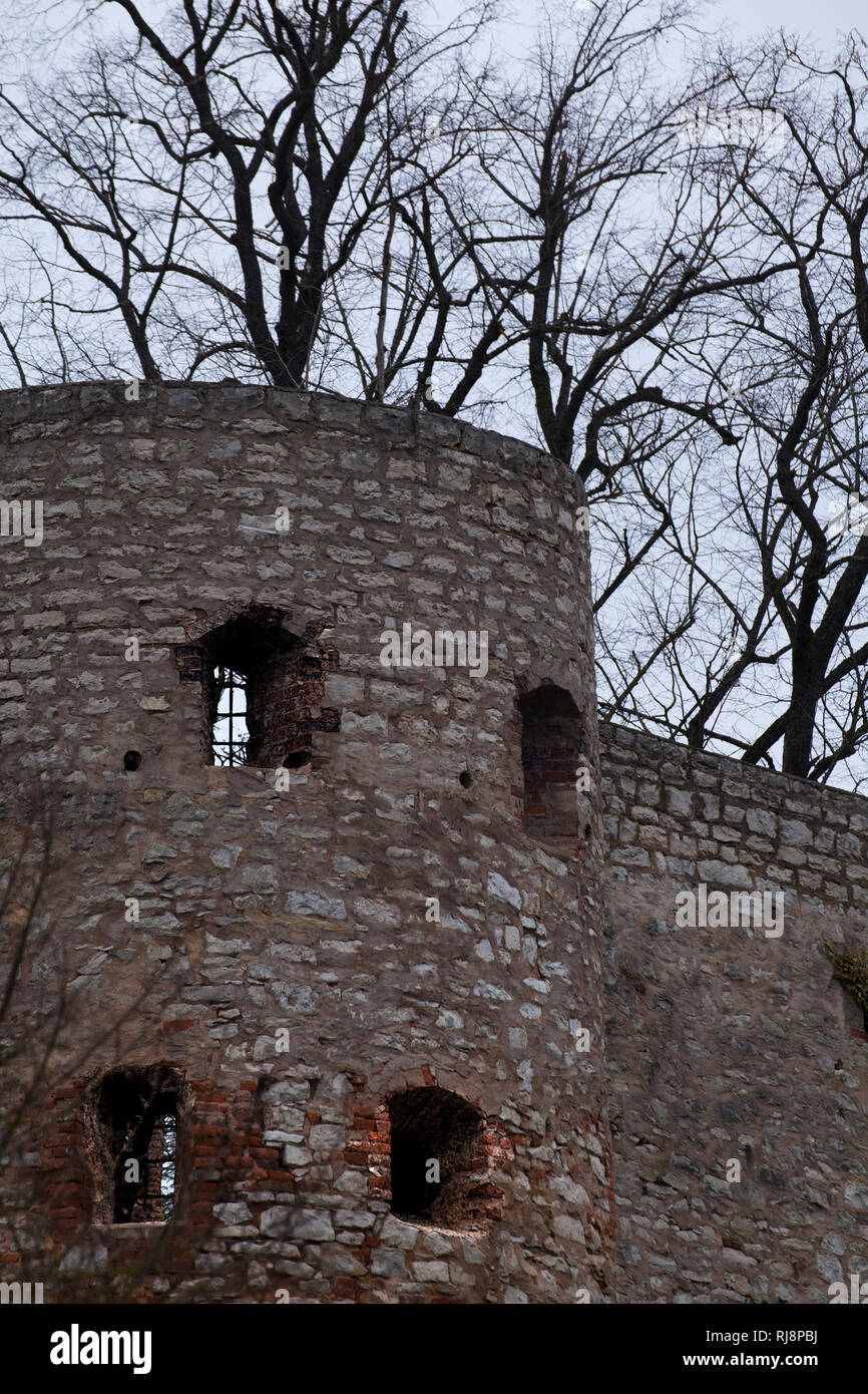 Turm in einer uralten Burganlage vor kahlen Bäumen [M] Stock Photo