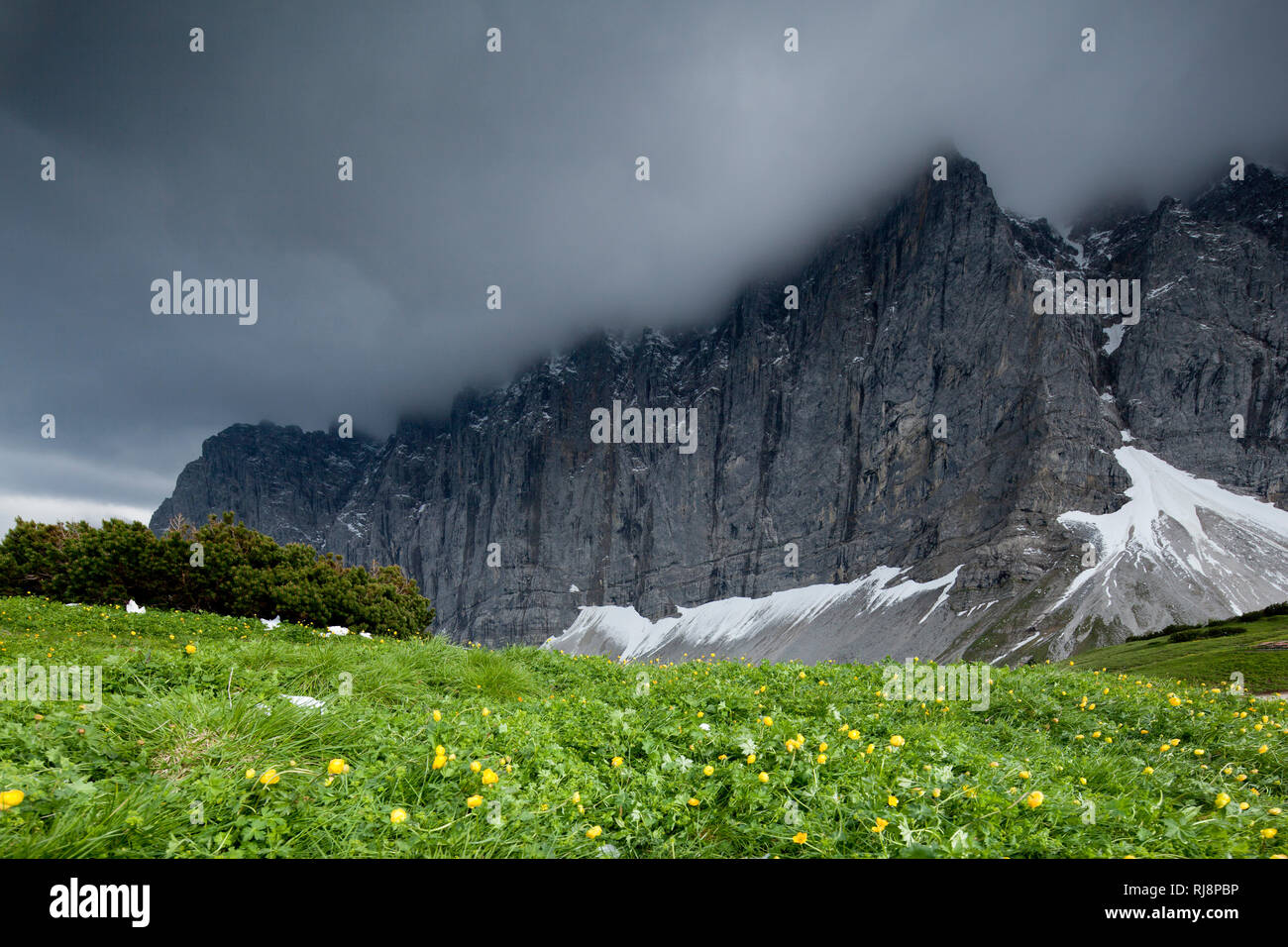 Blick zur Laliderer Nordwand, in der Eng, Karwendel Gebirge, Tirol, Österreich Stock Photo