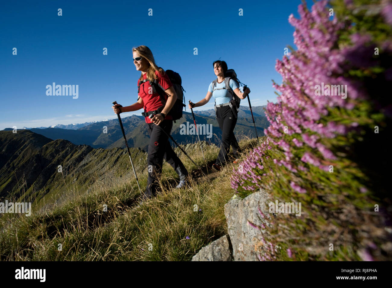 Wanderszene am Kellerjoch, Tuxer Alpen, Zillertal, Tirol, Österreich Stock Photo