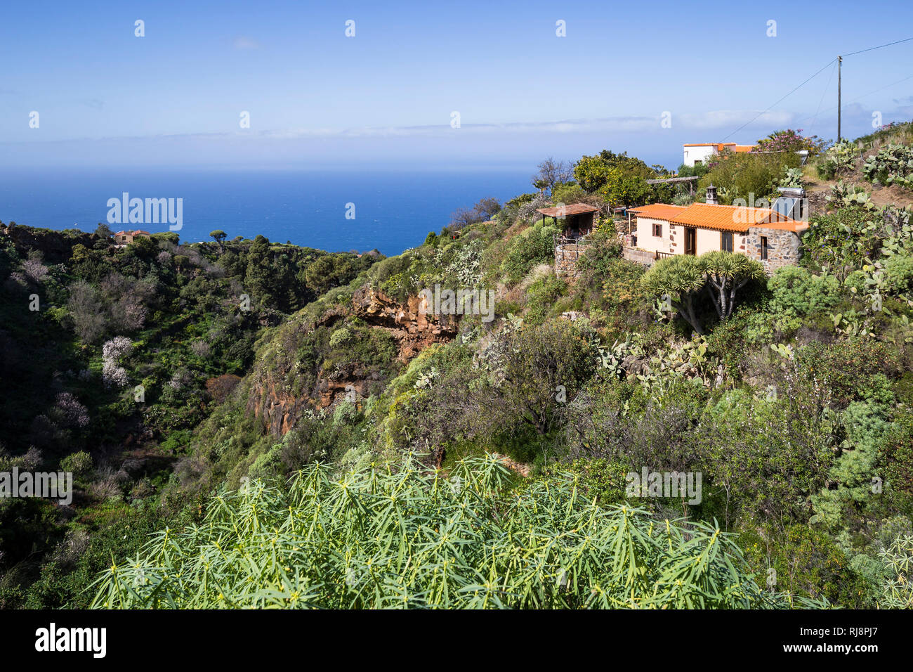 Finca in üppiger Vegetation, Las Tricias, La Palma, Kanarische Inseln, Spanien Stock Photo