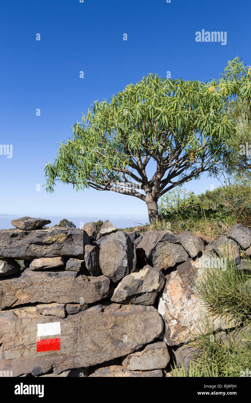 Wandermarkierung auf Steinmauer, Las Tricias, La Palma, Kanarische Inseln, Spanien Stock Photo