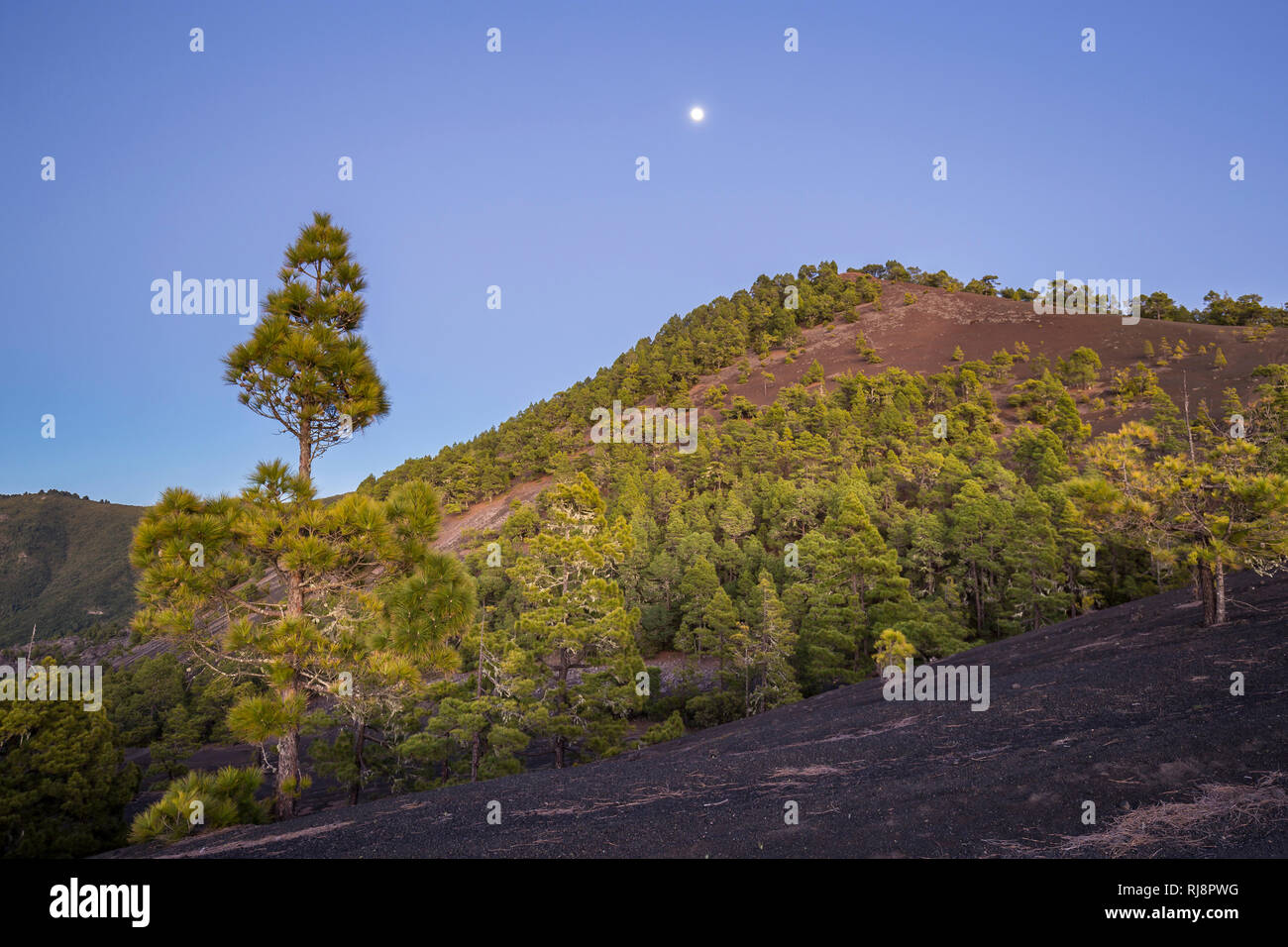 Vulkankegel Montaña Quemada (Tacande), Gebiet Llano del Jable, La Palma, Kanarische Inseln, Spanien, Abendaufnahme Stock Photo