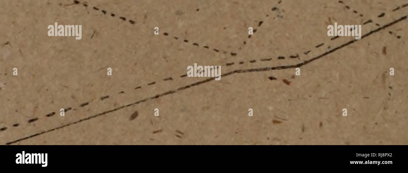 aei N Ae High Resolution Stock Photography And Images Alamy