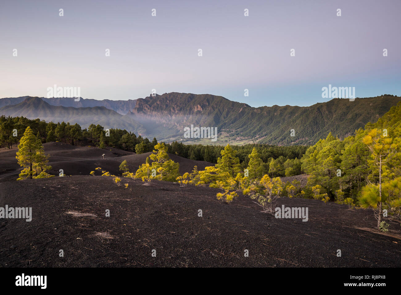 die dunklen Lavasandflächen von Llano del Jable, hinten die Caldera de Taburiente und der Gebirgskamm der Cumbre Nueva, La Palma, Kanarische Inseln, S Stock Photo