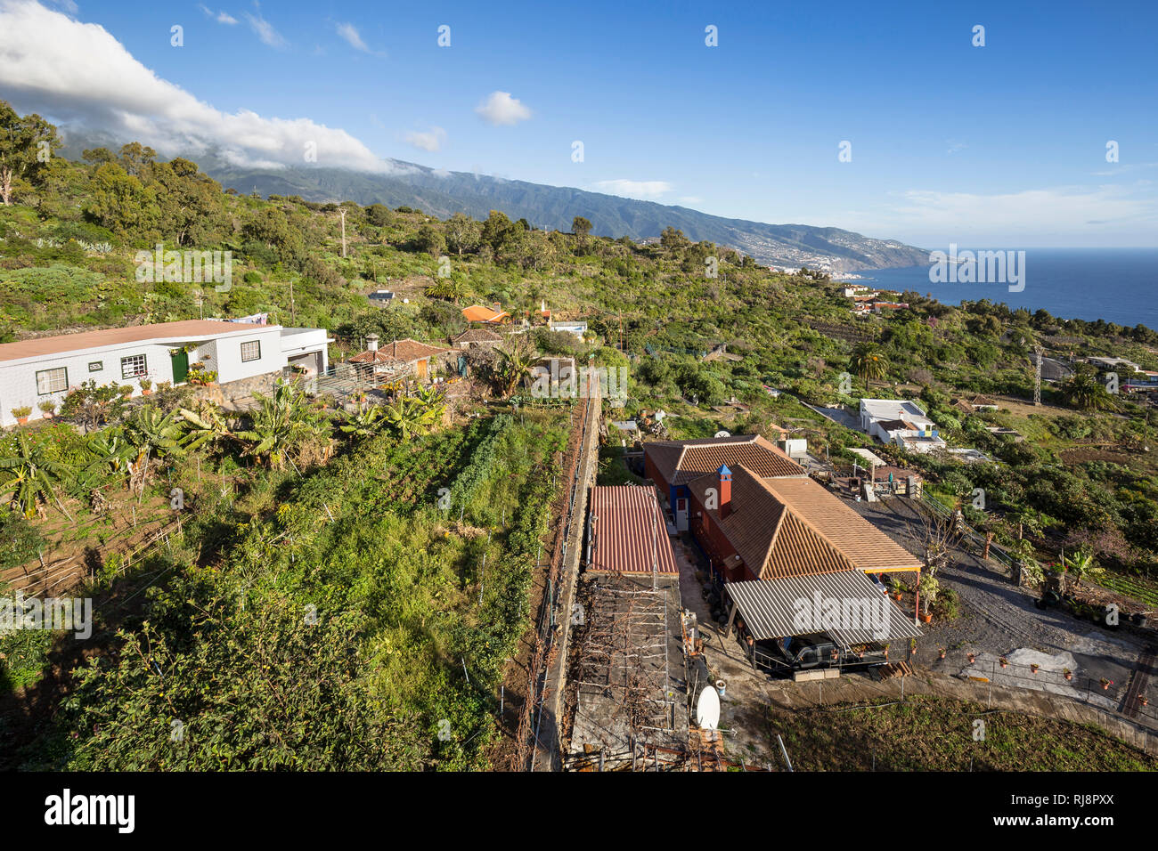 Wohnhäuser in der Gemeinde Breña Baja, La Palma, Kanarische Inseln, Spanien Stock Photo