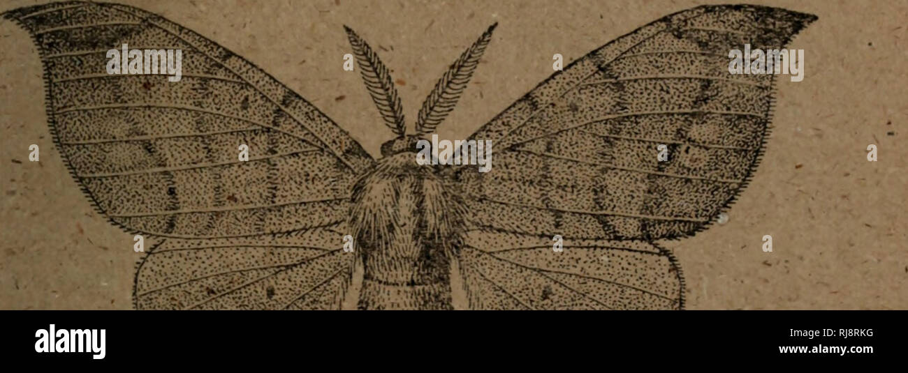 2aa 3 High Resolution Stock Photography And Images Alamy