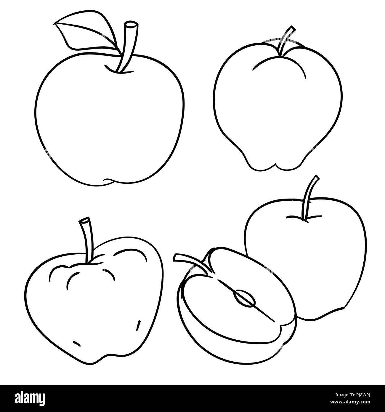 Set of Apples isolated on white background, ink hand drawn style, for coloring book, education and food concepts. Vector Illustration Stock Vector